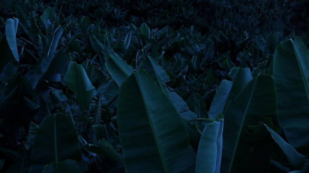 Film Still from The Figures Carved Into the Knife by the Sap of the Banana Trees