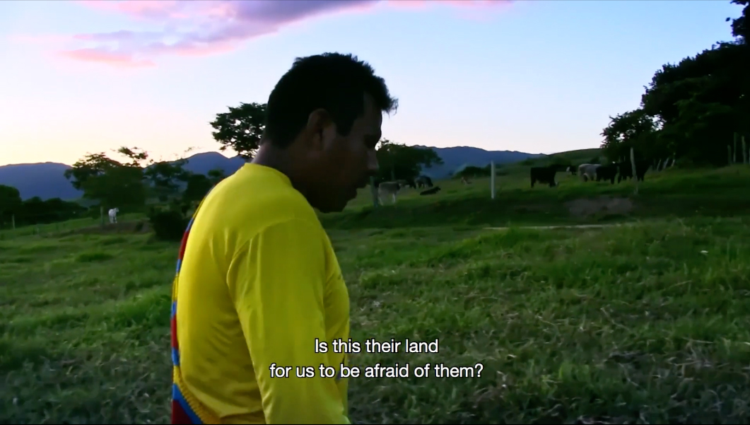 Film Still from Nũhũ yãgmũ yõg hãm: This land is ours! (2021), Isael Maxakali, Sueli Maxakali, Carolina Canguçu, Roberto Romero